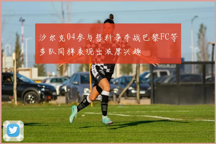 沙尔克04参与哲科争夺战巴黎FC等多队同样表现出浓厚兴趣